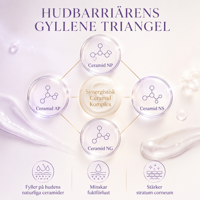 Night Cream – Skin Renewing